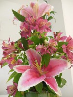 ARRANJO ROSA 